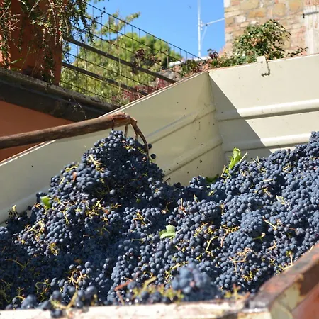 Farm stay La Volpe E L'uva *