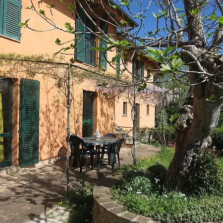 La Volpe E L'uva Perugia