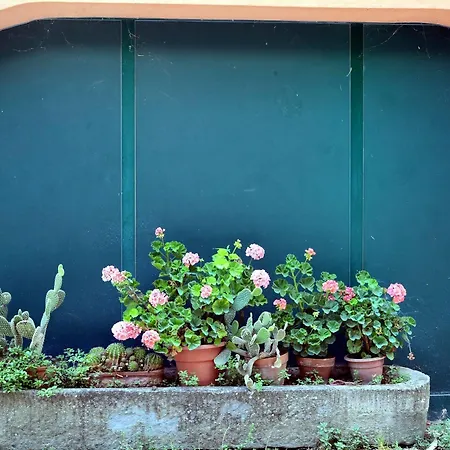 La Volpe E L'uva *