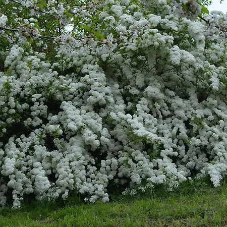 La Volpe E L'uva Фермерский дом Перуджа